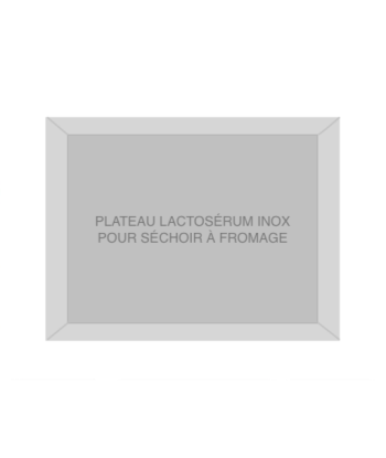 PLATEAU LACTOSÉRUM INOX...